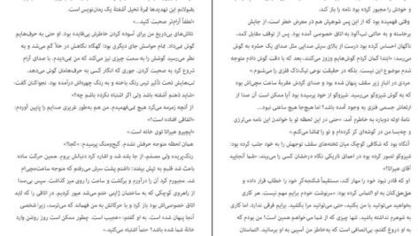 دانلود کتاب شکار و تاریکی ادوگاوا رانپو PDF