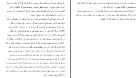 دانلود کتاب شکار و تاریکی ادوگاوا رانپو PDF