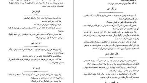 دانلود کتاب طنز و شوخ طبعی ملانصرالدین عمران صلاحی PDF