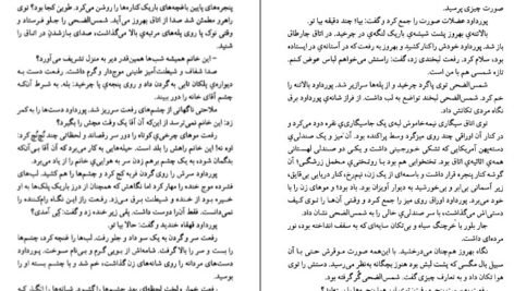 دانلود کتاب مهر گیاه امیرحسن چهل‌تن PDF