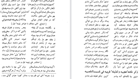 دانلود کتاب هشت بهشت ملا عبدالحکیم عطا تتوی PDF