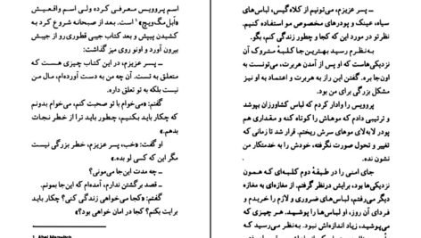 دانلود کتاب آرزوهای بزرگ شکوفه اخوان PDF
