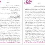دانلود کتاب تاریخ خاندان طاهری سعید نفیسی PDF