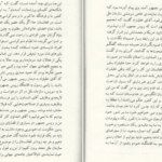 دانلود کتاب سیاست افغانستان؛ روایتی از درون دکتر رنگین دادفر سینا جلد دوم PDF