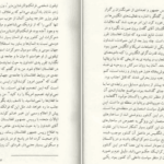 دانلود کتاب سیاست افغانستان؛ روایتی از درون دکتر رنگین دادفر سینا جلد دوم PDF