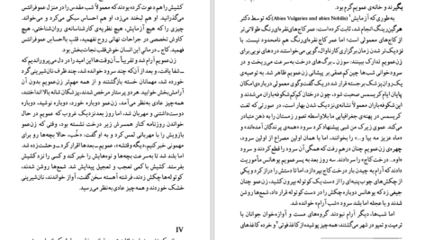 دانلود کتاب تا زمانی که هاینریش بل PDF