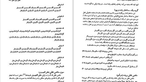 دانلود کتاب دستور تطبیقی زبان ترکی و فارسی حسن احمدی گیوی PDF
