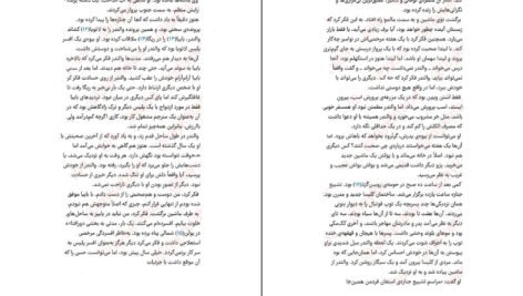 دانلود کتاب دیوار آتش هنینگ مانکل PDF