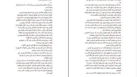 دانلود کتاب دیوار آتش هنینگ مانکل PDF