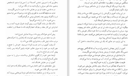 دانلود کتاب دیوار ژان پل سارتر PDF