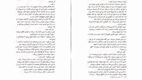 دانلود کتاب زندگی نامرئی ادی لارو ویکتوریا شواب PDF