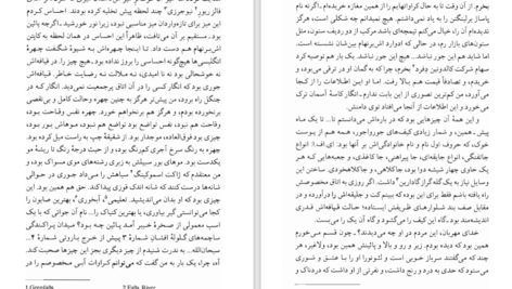 دانلود کتاب سرباز خوب فورد مادوکس فورد PDF