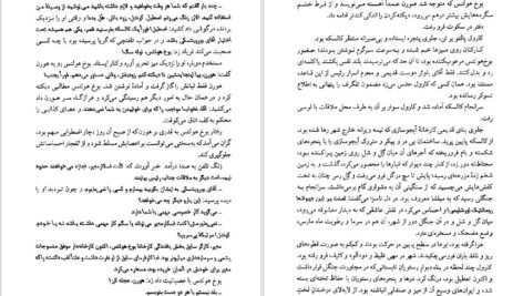 دانلود کتاب سرزمین موعود ولادیسلاو ریمونت PDF