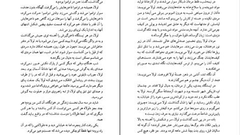 دانلود کتاب سرزمین گوجه‌های سبز هرتا مولر PDF