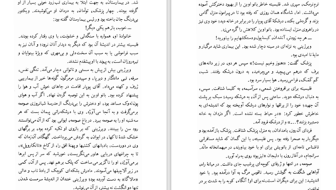 دانلود کتاب سه داستان گوستاو فلوبر PDF