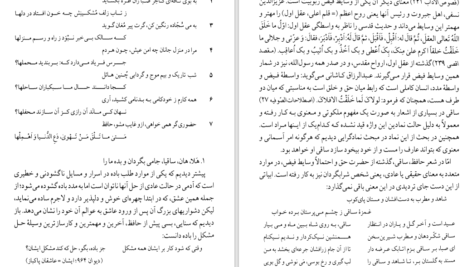 دانلود کتاب شرح شوق سعید حمیدیان جلد دوم PDF