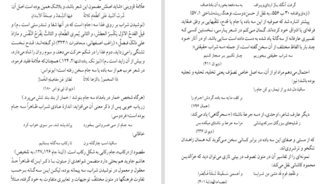 دانلود کتاب شرح شوق سعید حمیدیان جلد چهارم PDF