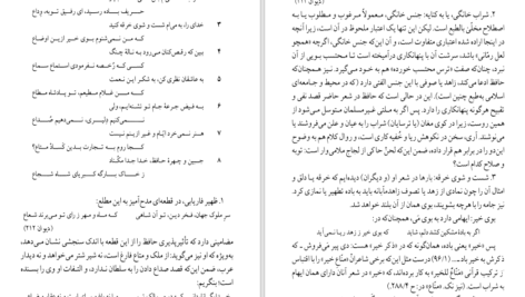 دانلود کتاب شرح شوق سعید حمیدیان جلد چهارم PDF
