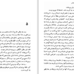 دانلود کتاب شلغم میوه بهشته علی محمد افغانی PDF