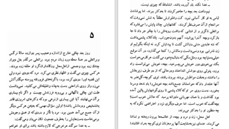 دانلود کتاب شلغم میوه بهشته علی محمد افغانی PDF
