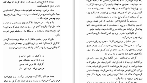 دانلود کتاب شلغم میوه بهشته علی محمد افغانی PDF
