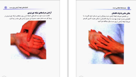 دانلود کتاب ماساژ درمانی با دست دنیس ویشلو براون PDF