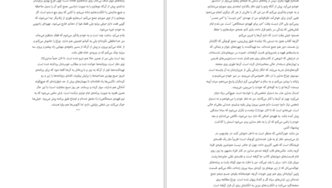 دانلود کتاب مبانی مدیریت دولتی طاهره فیضی PDF