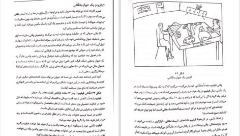 دانلود کتاب نقاشی کودکان پریرخ دادستان PDF