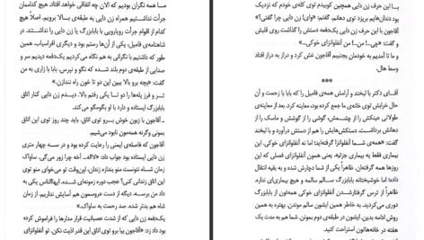 دانلود کتاب وام دماغ سعید هاشمی PDF