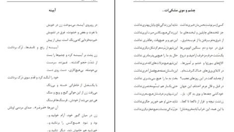 دانلود کتاب کرگدنیسم بهمن انصاری PDF