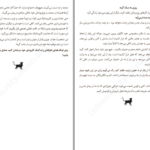 دانلود کتاب گربه راهنمای ما استفان گارنیه PDF